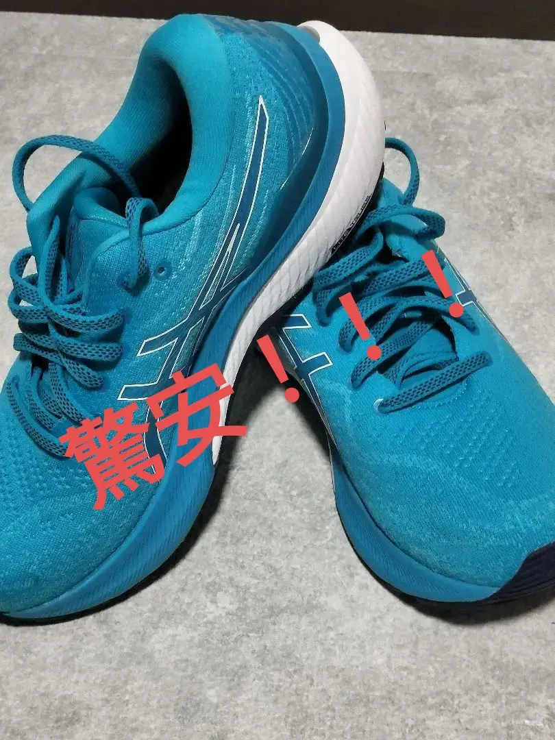 千ちゃん　ASICS ゲルカヤノ29 スタンダード　25.5センチ 2025年最新】アシックス ゲルカヤノ29 25.5の人気アイテム