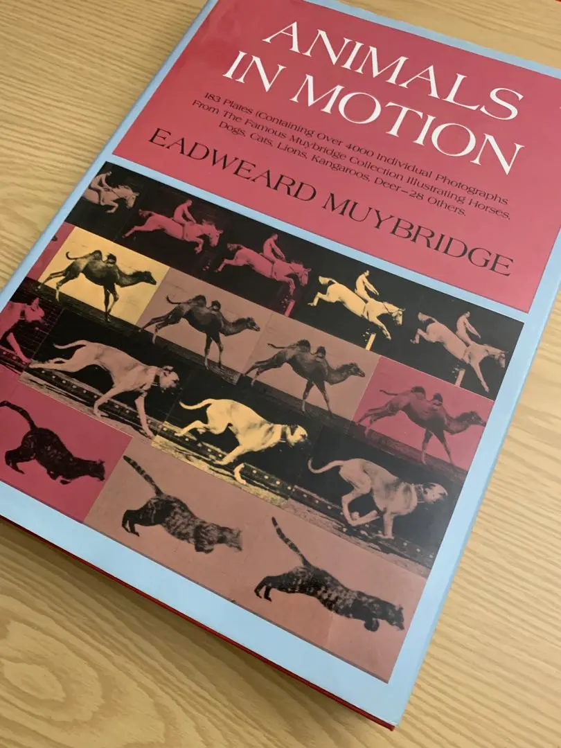 ▲01)【同梱不可】Eadweard Muybridge/エドワード・マイブリッジ 人間と動物の運動写真/美術解剖学/洋書/A 古書古本 dessin：Eadweard Muybridge: Muybridge's Complete