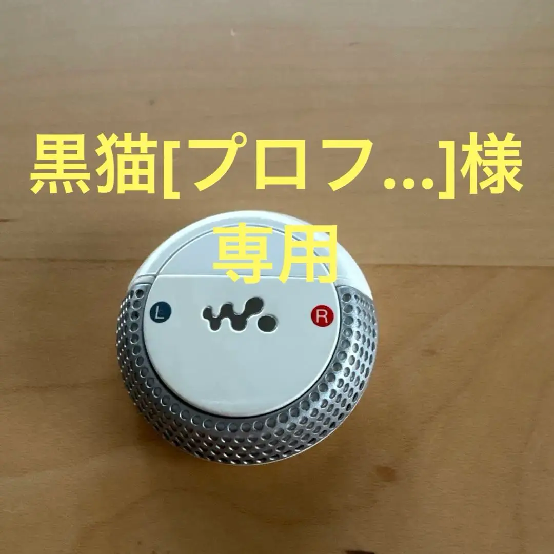 2025年最新】ecm-nw10の人気アイテム - メルカリ