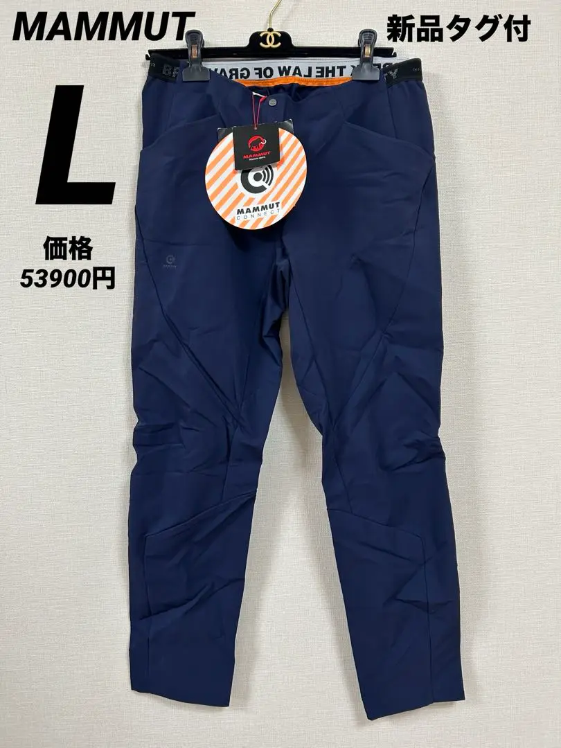 マムート MAMMUT ロベラ レディースパンツ レディース M 水色