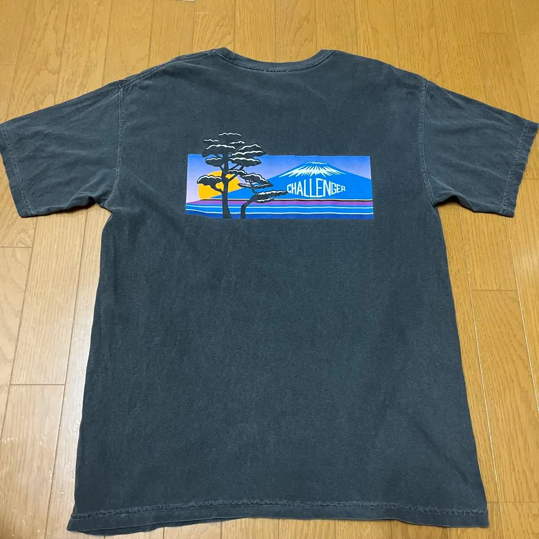 CHALLENGER NATURE tee JAPAN tシャツ XL 東京 CHALLENGER [チャレンジャー] NATURE JPN TEE ネイチャー
