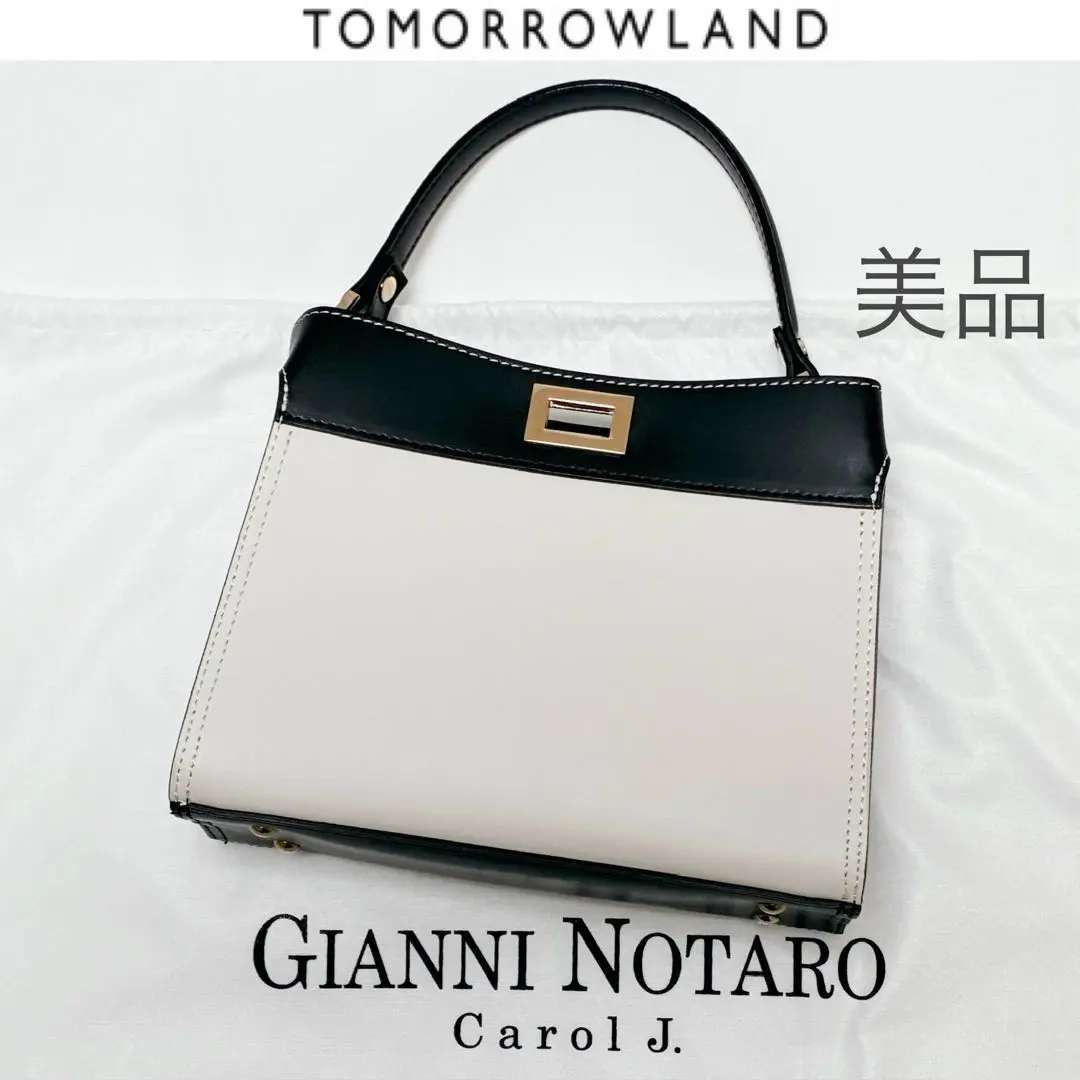Thumbnail of Excellent Condition GIANNI NOTARO Bi-Color Mini Shoulder Bag