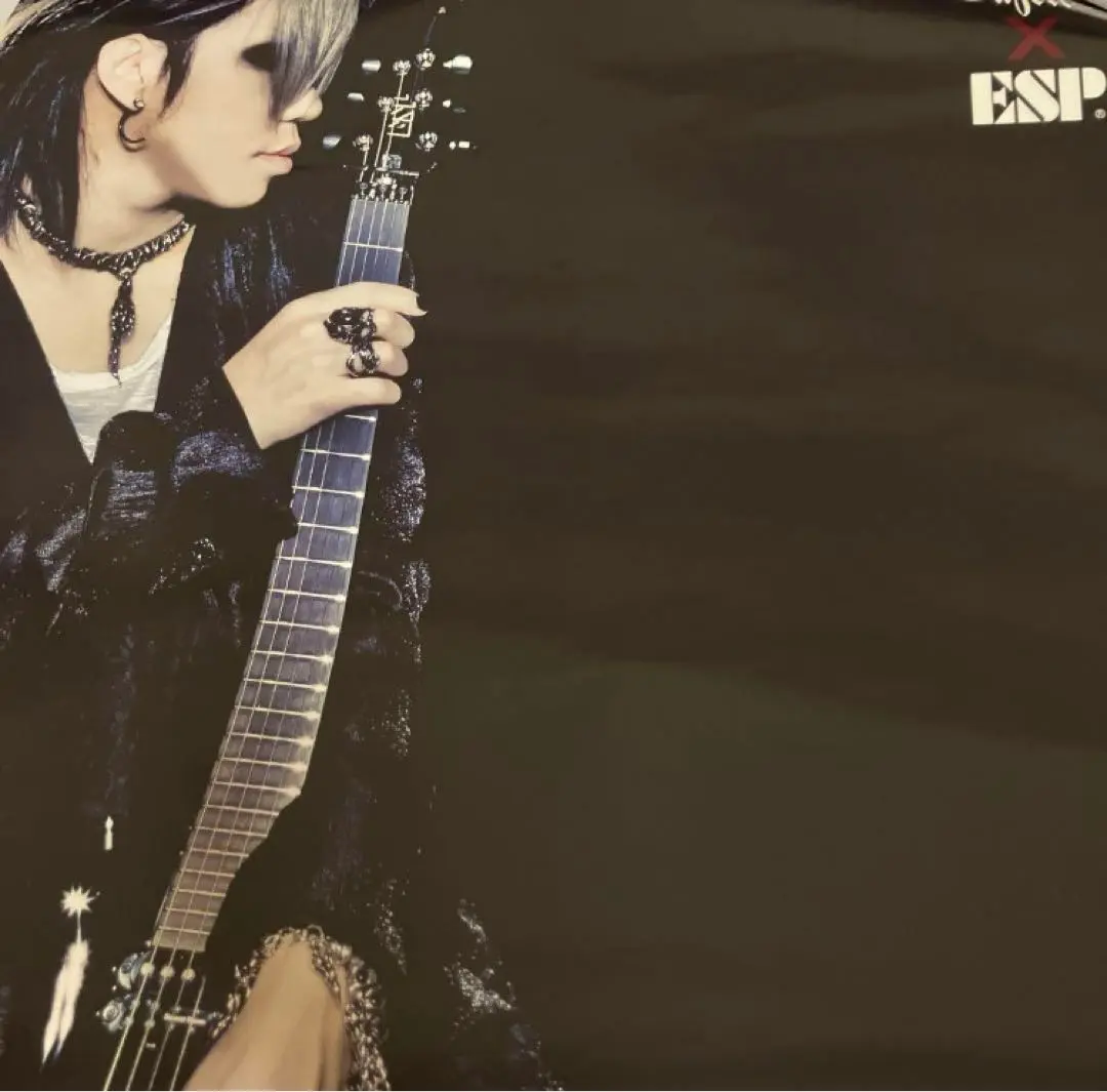 the GazettE ガゼット 葵 ESP ポスター V系 ESP - the GazettE 葵 ピック ガゼットの通販 by にんにく醤油's