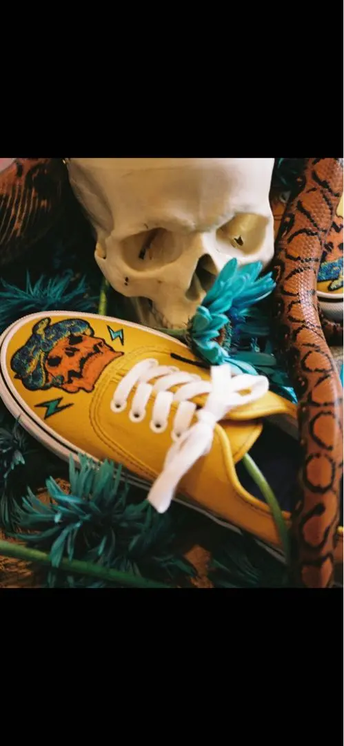 PRODUCTS] VANS × HIROTTON | VHSMAG