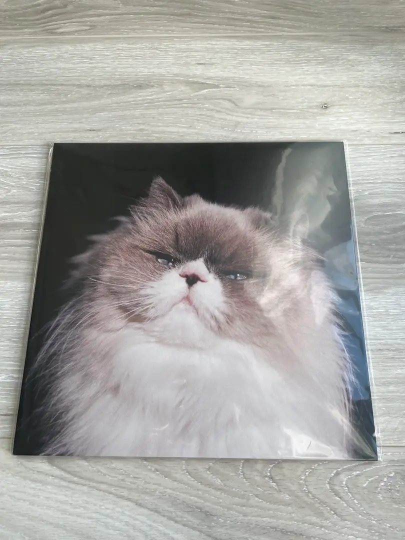 期間限定　カネコアヤノ  レコード  燦々  LP  アルバム  新品 重量盤 期間限定 カネコアヤノ レコード 燦々 LP アルバム 新品 重量盤