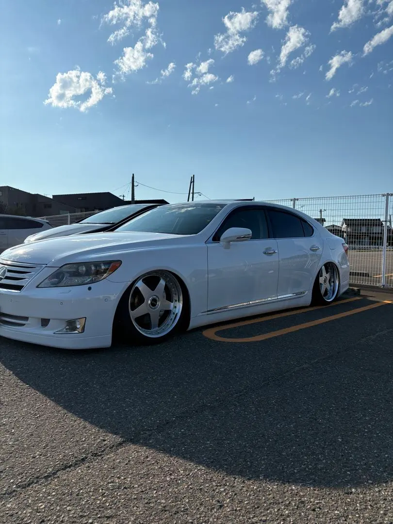 2025年最新】エイムゲイン gvsの人気アイテム - メルカリ