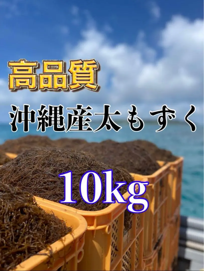 美ら海　小浜島産　天然もずく お得の一斗缶19キロ　送料無料 美ら海 小浜島産 天然もずく お得の一斗缶19キロ 送料無料（沖縄