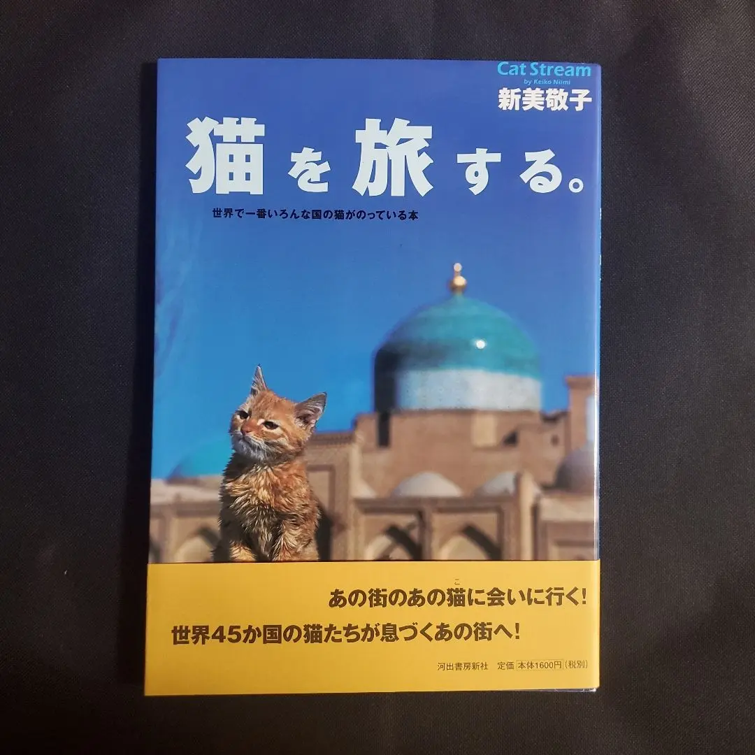 2025年最新】風神 東京国立博物館 new eraの人気アイテム - メルカリ