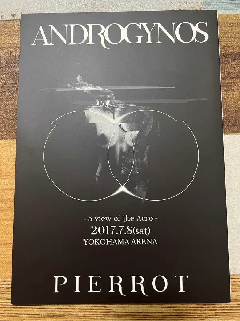 ANDROGYNOS パンフレット2冊セット 2025年最新】androgynos パンフレットの人気アイテム - メルカリ