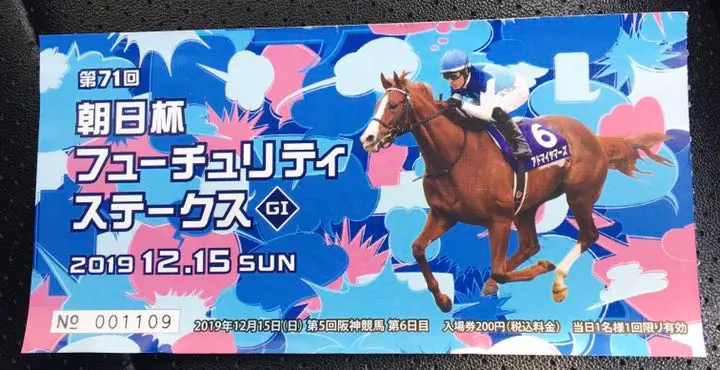 宝塚記念　記念入場券　阪神競馬場 2025年最新】阪神競馬場 入場券の人気アイテム - メルカリ
