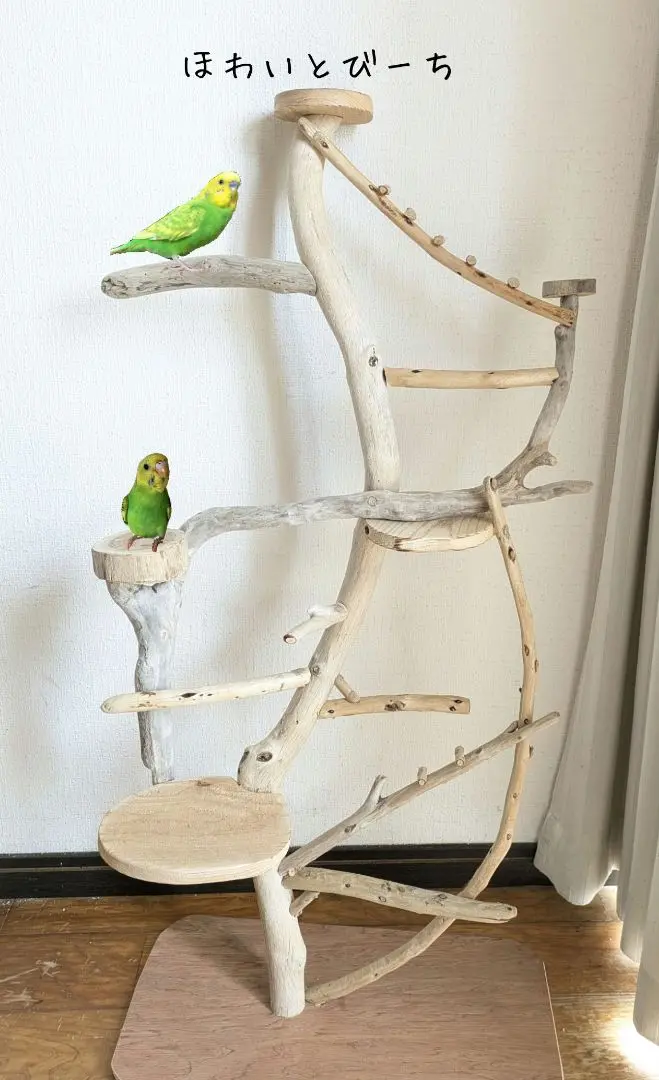 流木止まり木・バードタワー『癒しの森』高さ98cm 2025年最新】インコ 止まり木 タワーの人気アイテム - メルカリ