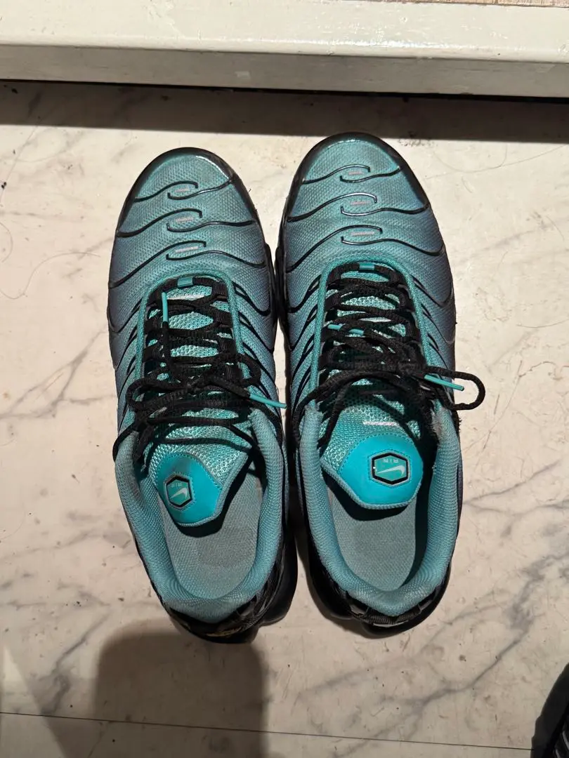 2025年最新】NIKE AIR max plus light retroの人気アイテム