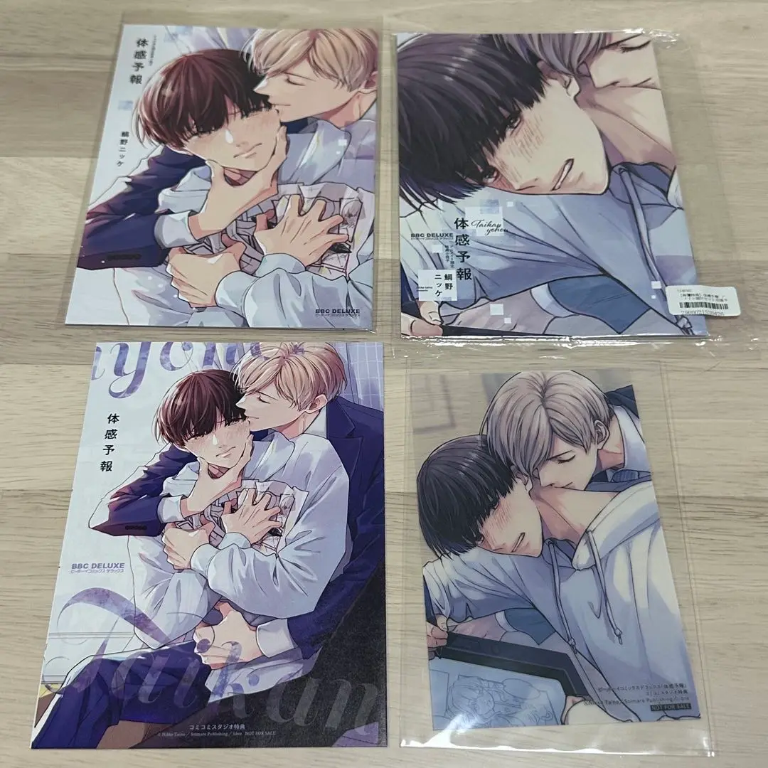 Amazon.co.jp: 体感予報 セット 特典 小冊子 アニメイト
