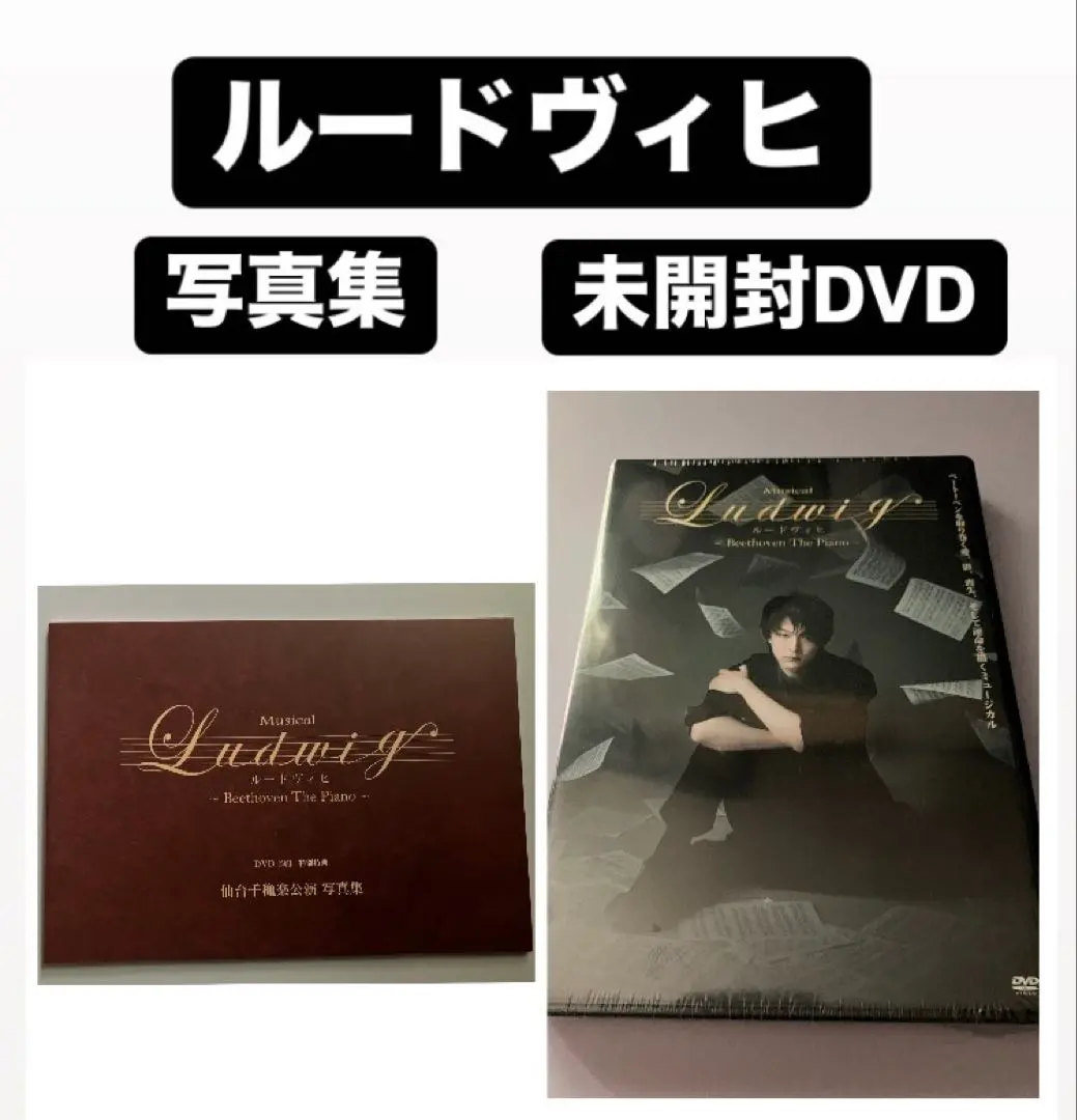 中村倫也 主演舞台 ルードヴィヒ 豪華版DVD Amazon.co.jp: □ ミュージカル ルードヴィヒ Beethoven The