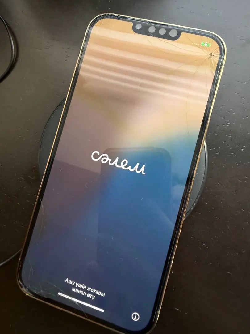 【ジャンク品】Apple iPhone 13 Pro max 【電池故障】 ジャンク品】Apple iPhone 13 Pro max 【電池故障】