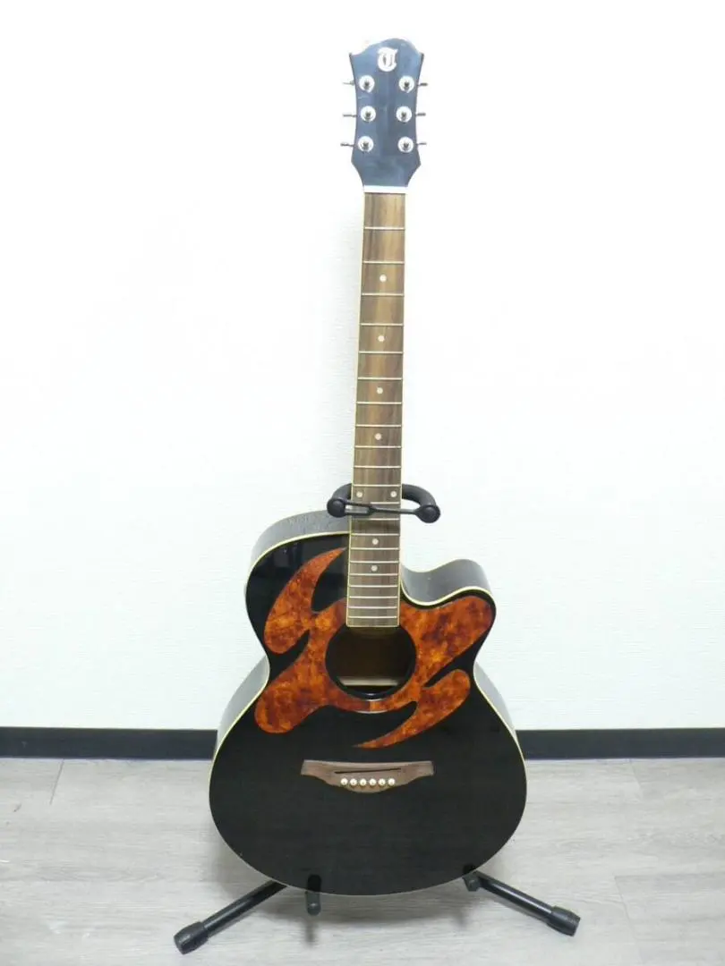 2025年最新】triumph エレキギターの人気アイテム - メルカリ