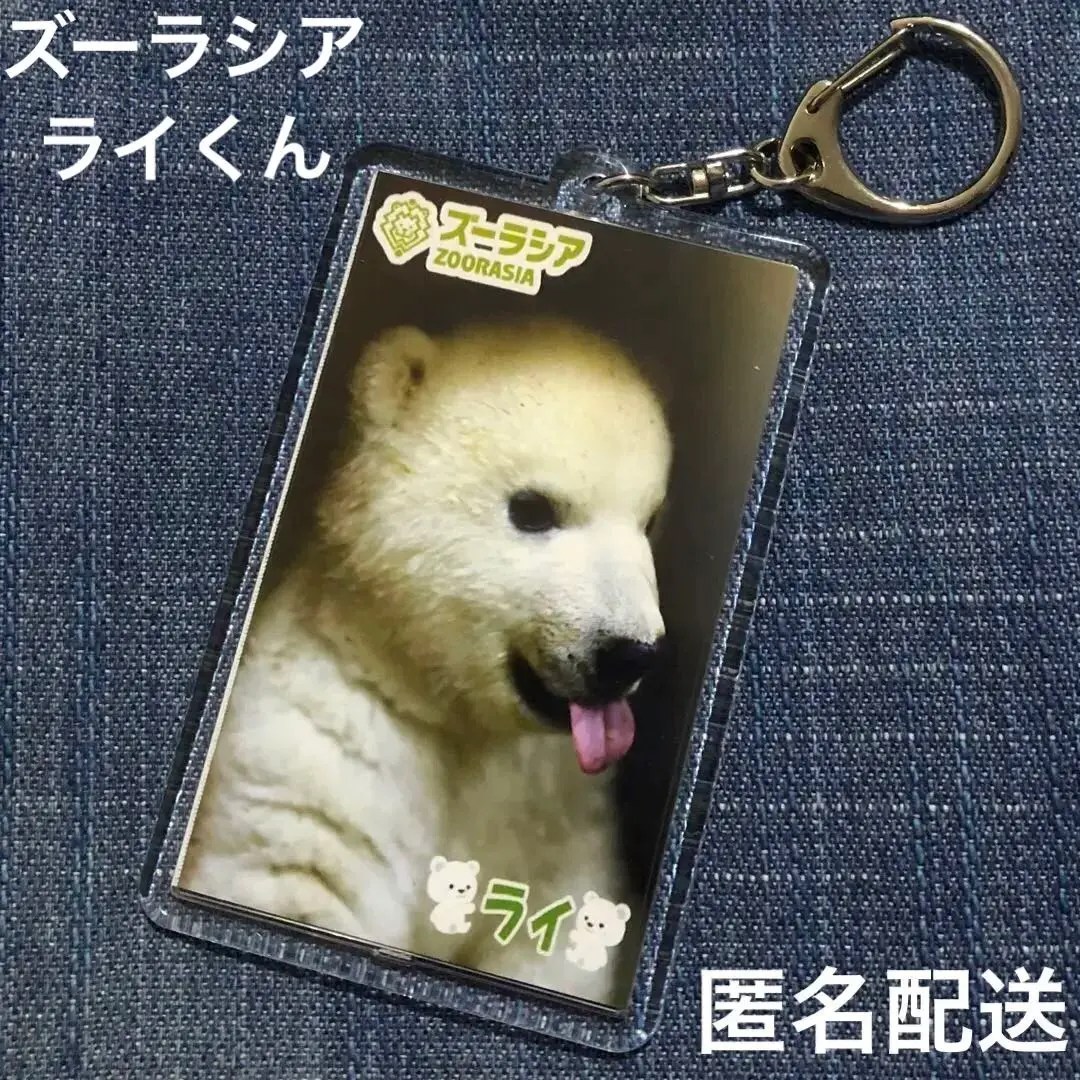 ホッキョクグマのグッズ7点セット/ズーラシア 2月27日は国際ホッキョクグマの日🐻‍❄️ ショップでは