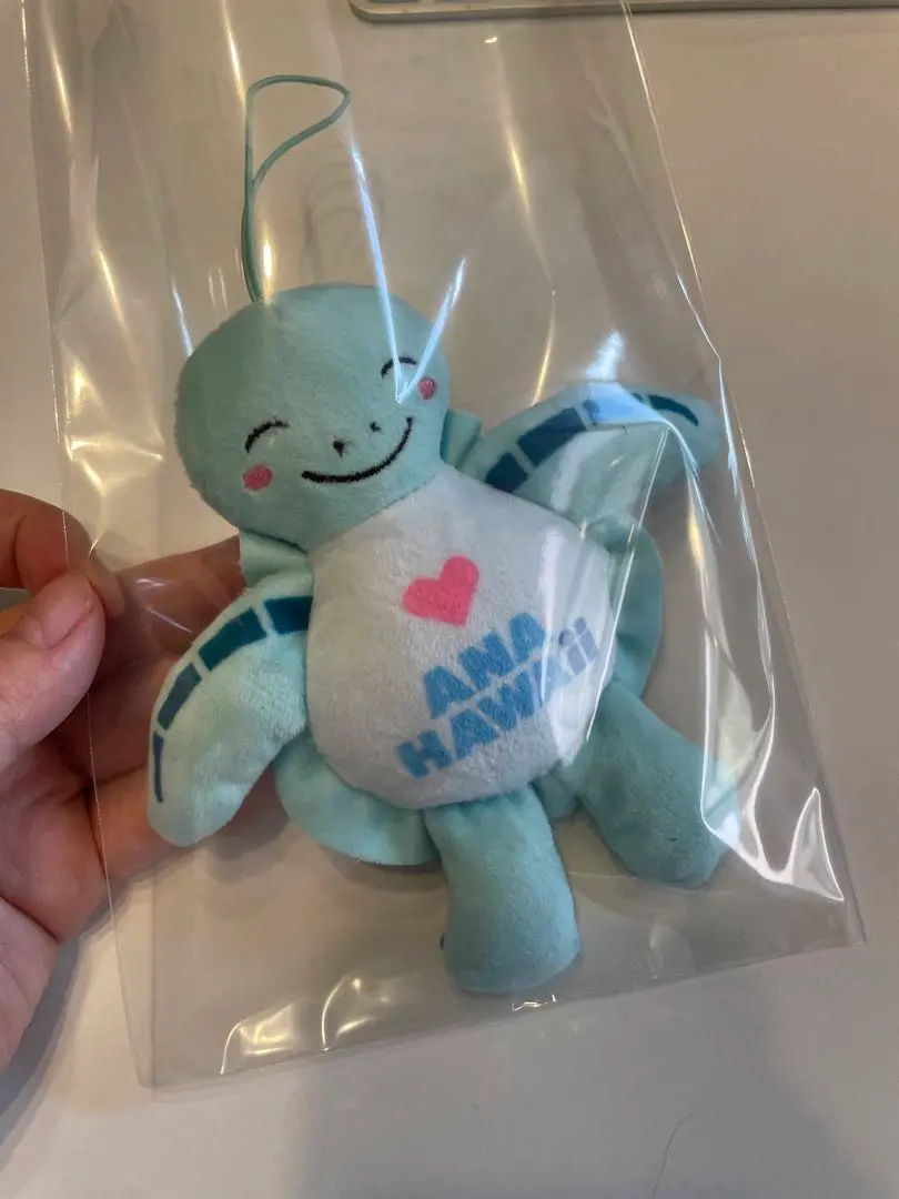 ANA HONU ぬいぐるみ 約30cm Amazon | ANA ホヌぬいぐるみセット ラニカイラーA380 FLYING