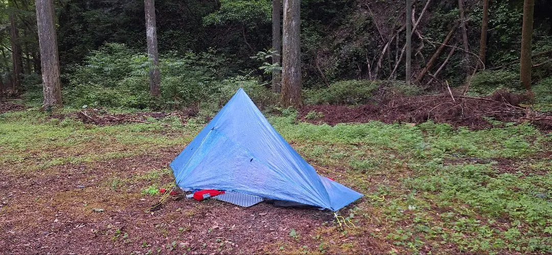 Zpacks Hexamid Pocket Tarp Olive Darb