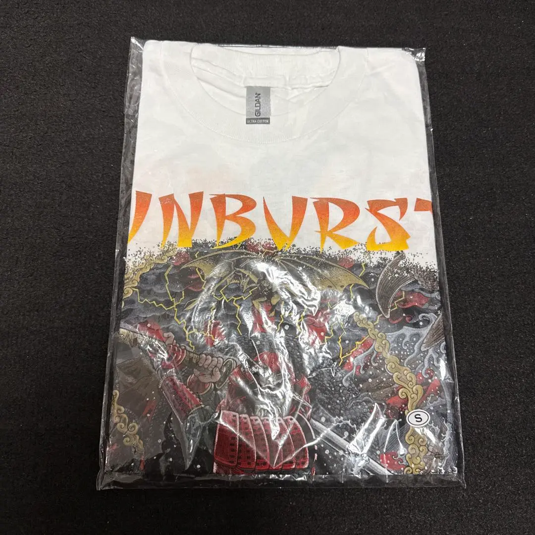 LOUDNESS/SUNBURST～我武者羅 未開封品 Amazon.co.jp: SUNBURST~我武者羅 (通常盤): ミュージック