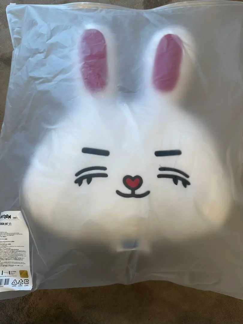MINTYEM フェイスクッション SEVENTEEN 新品未使用 MINITEEN FACECUSHION FOXDUNGEE ウォヌ クッション - メルカリ