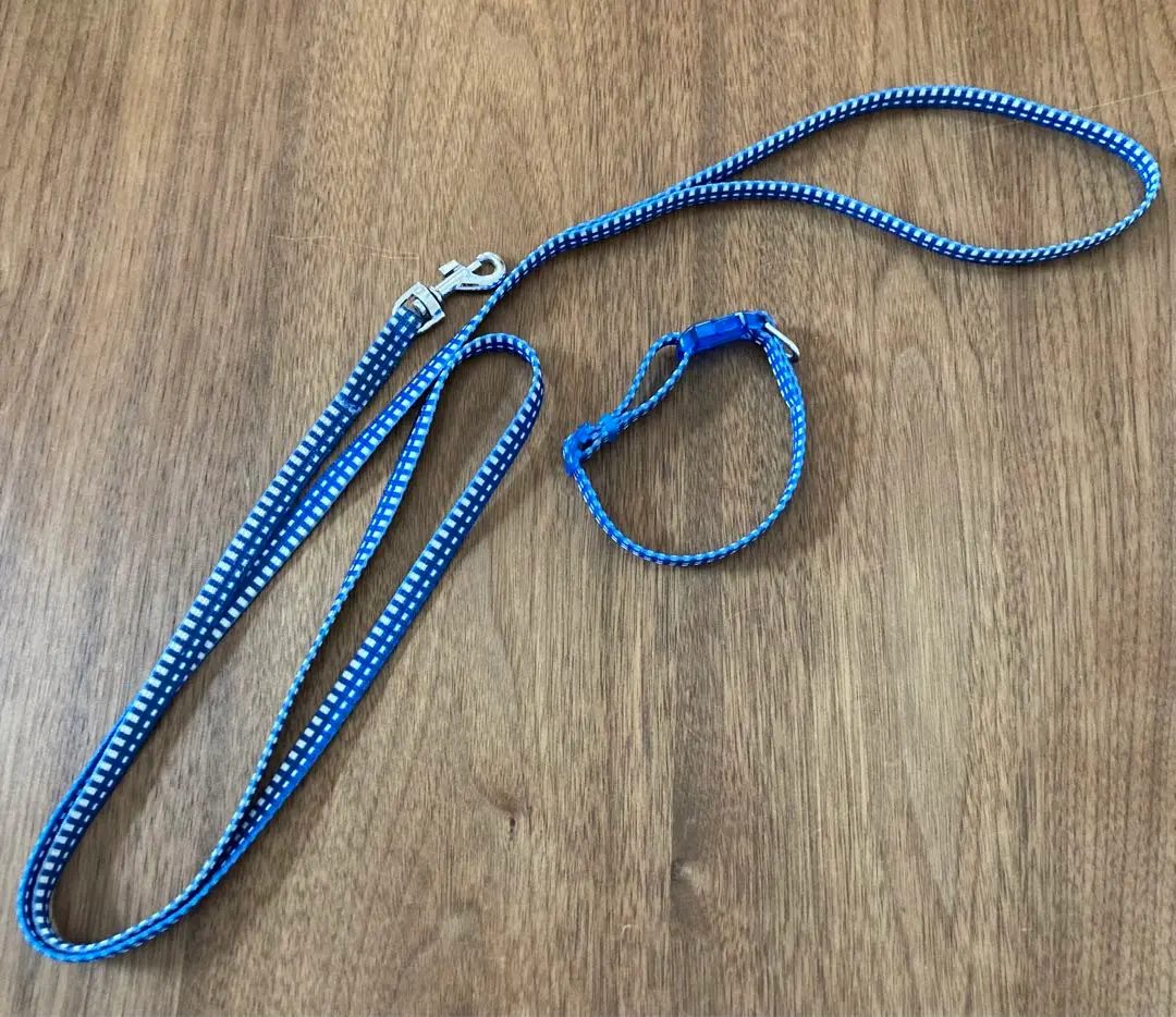 Thumbnail of Collar & Lead Set for Small Dogs