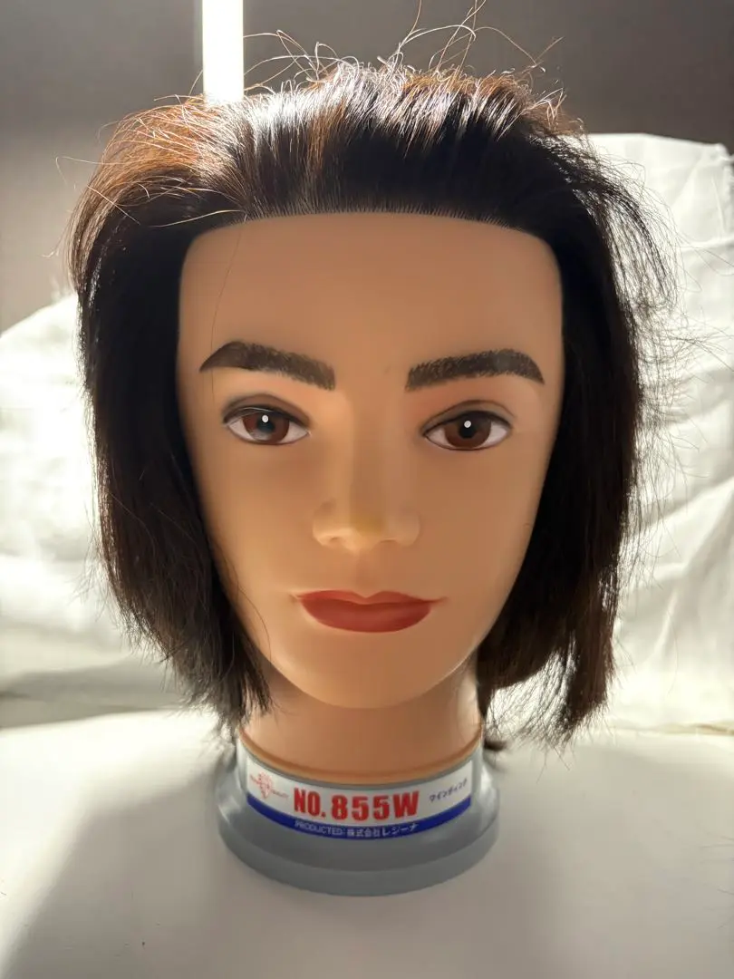 理容師実技国家試験専用ウイッグ レジーナ Regina レジーナR-008【理容師実技試験・国家試験課題専用・モデル