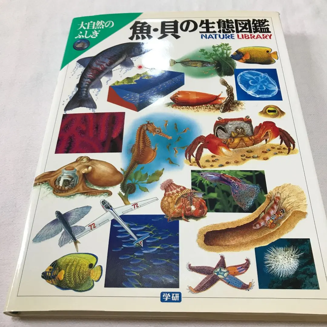 大自然のふしぎ　魚・貝の生態図鑑　学研 魚・貝の生態図鑑 (大自然のふしぎ) |本 | 通販 | Amazon
