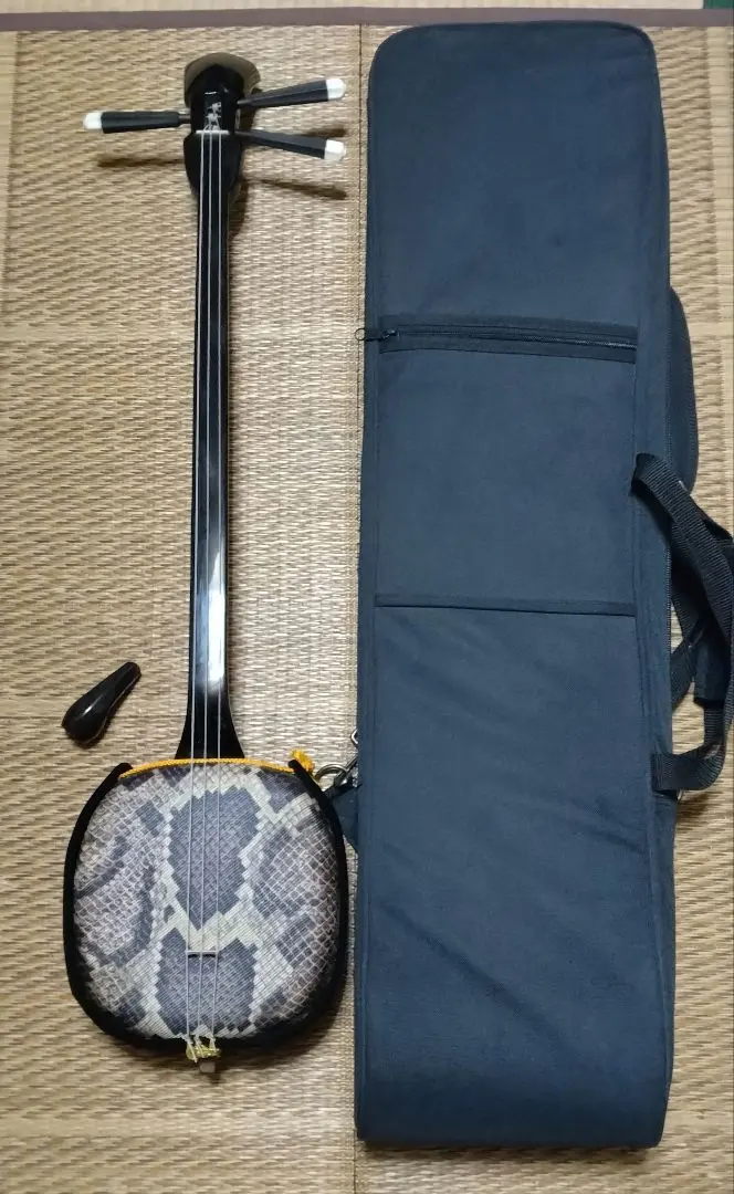 沖縄 石垣島 三線 ケース付き