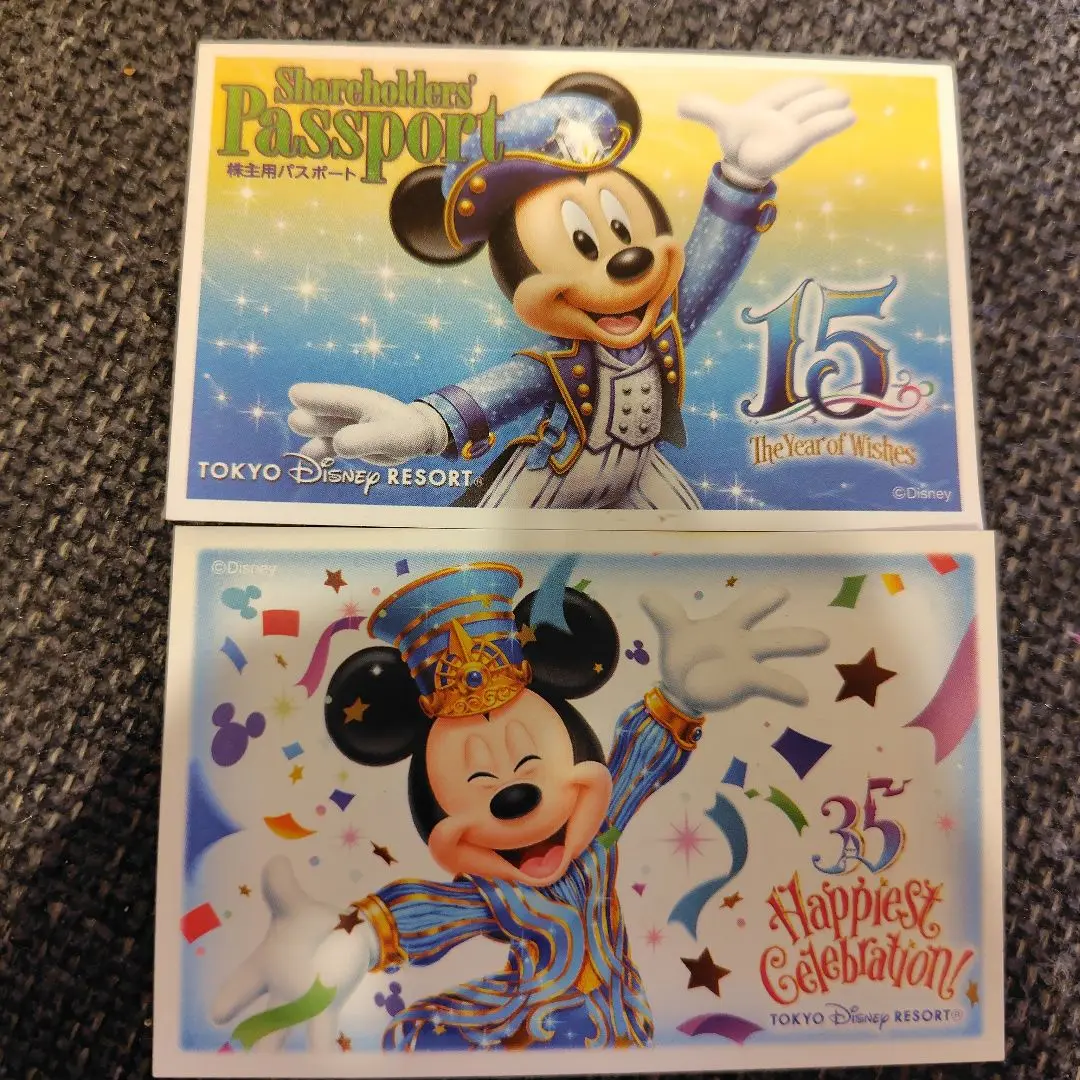 2025年最新】ディズニーランド 15周年 記念チケットの人気