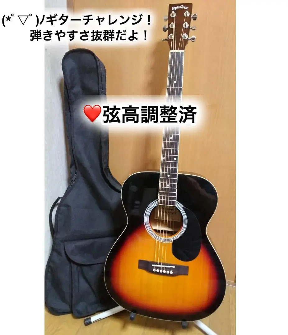 Sepia Crue FG1/N (9点セット) Sepia Crue セピアクルー アコースティックギターセット アコギ