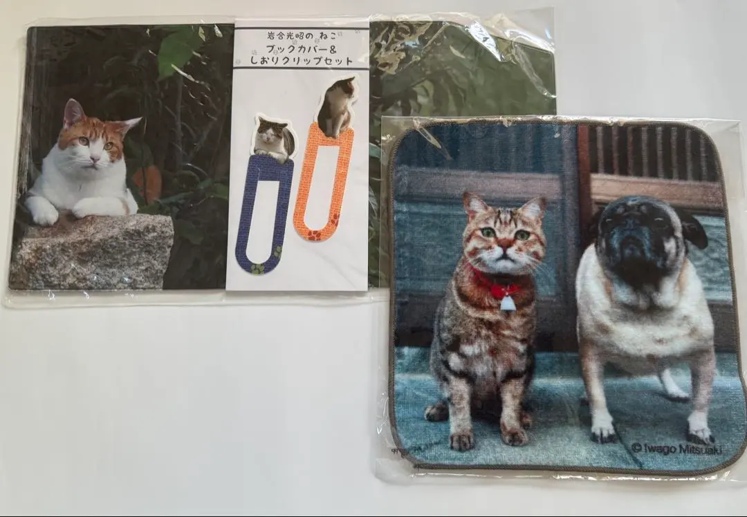 【ご確認用】 新品　未使用　岩合光昭さんハンカチ(=゜ω゜=)♥️猫 ねこ ネコ 2025年最新】岩合光昭 ハンカチの人気アイテム - メルカリ