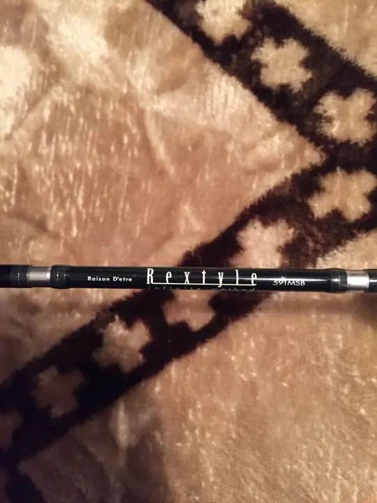 DAIWA(ダイワ) REXTYLE 531MRB ベイトロッド フローターに♪ DAIWA(ダイワ) REXTYLE 531MRB ベイトロッド フローターに