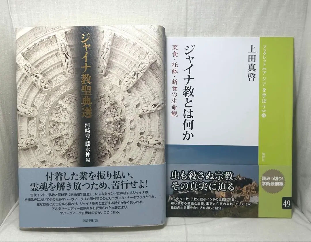 【中古】 そのまま使える「会社規程」集 小さな会社でも必要な規程のつくり方/日本実業出版社/藤永伸一 m56653761049_1.jpg?1735882445