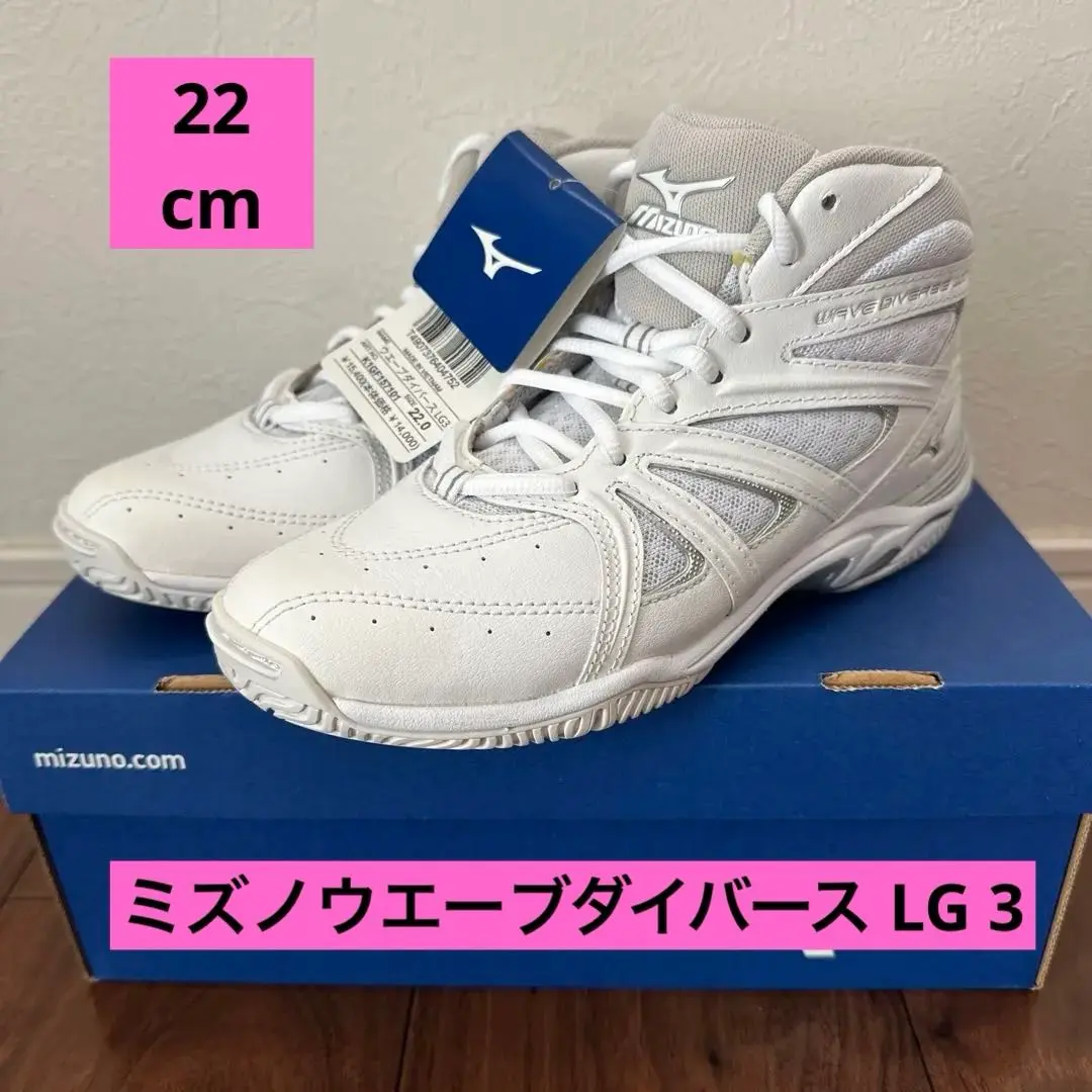 MIZUNO ミズノ ウエーブ ダイバース LG3 未使用 メンズ 26.5cm