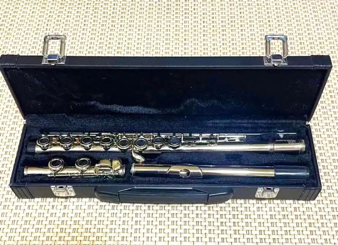 【未使用品】 Enhong フルート 61yFdSlGLmL._UF350,350_QL50_.jpg