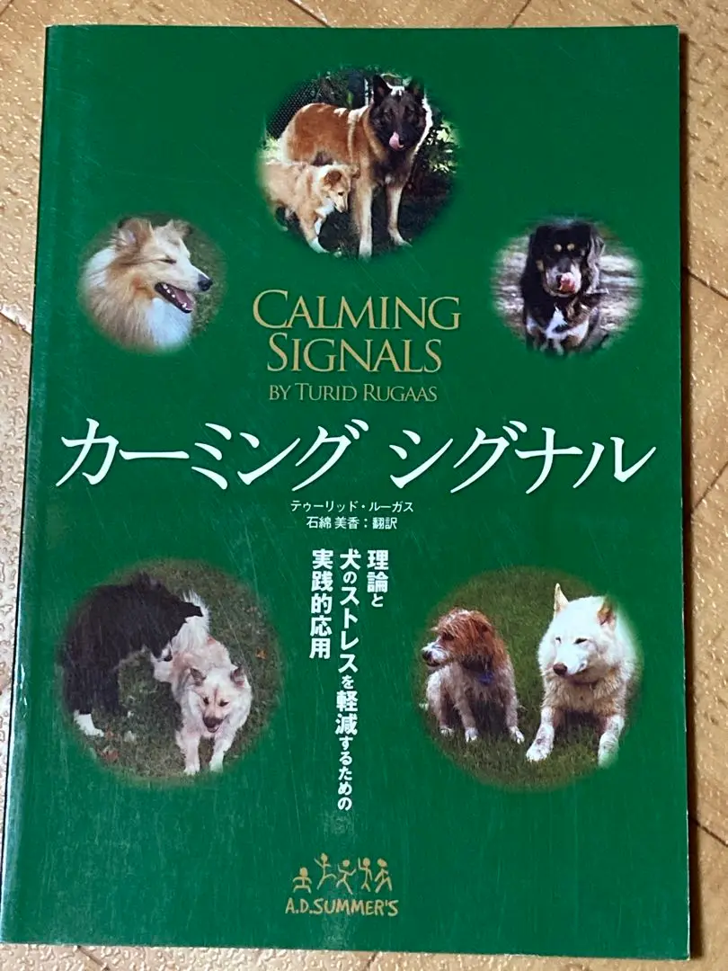 【新品、本物、当店在庫だから安心】 2025年最新】カーミングシグナルの人気アイテム - メルカリ 趣味・スポーツ・実用