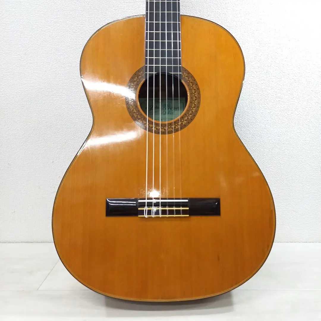 Aria AFN 15CS/美品 Aria AFN 15CS/美品 AFN-15 - Aria Guitars - Electric