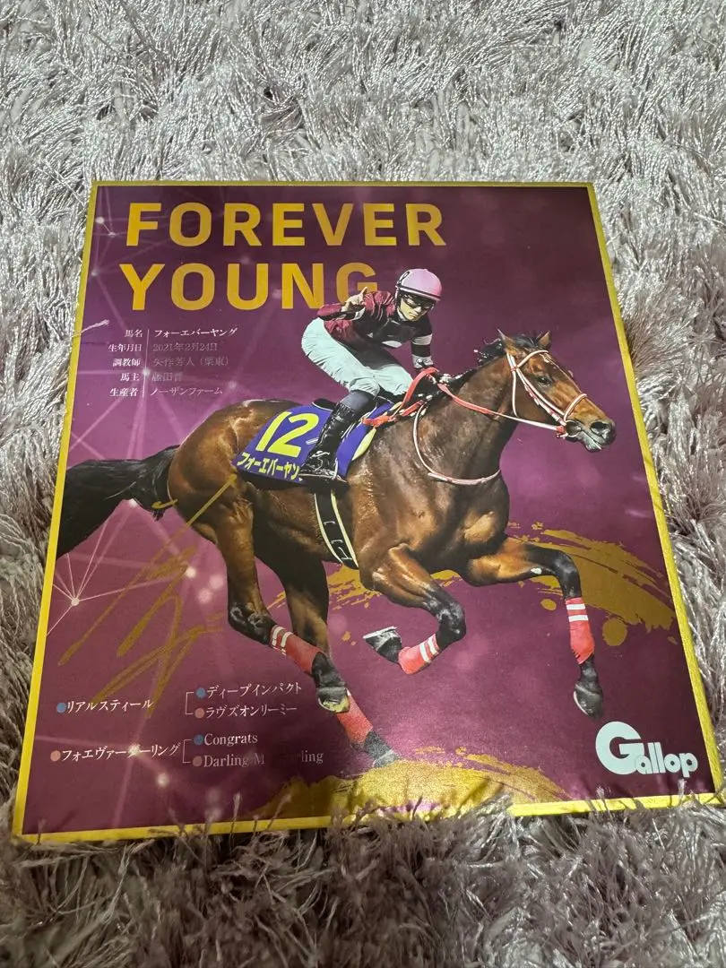 競馬　ミニ色紙　サイン　ゴールドシップ　イクイノックス　フォーエバーヤング 2025年最新】イクイノックス 色紙の人気アイテム - メルカリ
