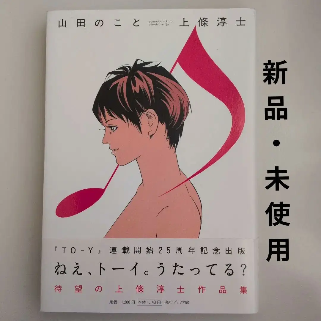 上條淳士画集 1983 初版 帯付き 1983 上條淳士画集の通販 by ほのじのおうち｜ラクマ