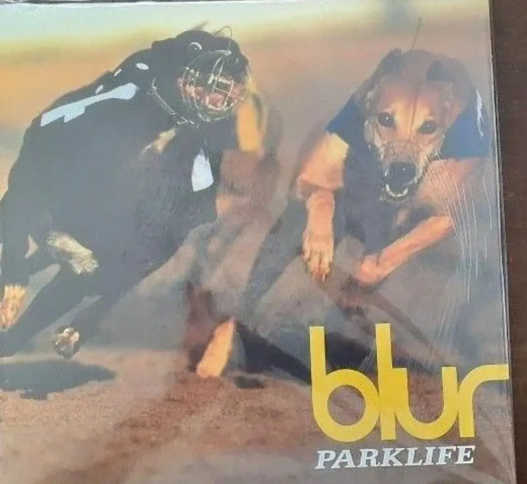 2025年最新】PARKLIFE レコードの人気アイテム - メルカリ