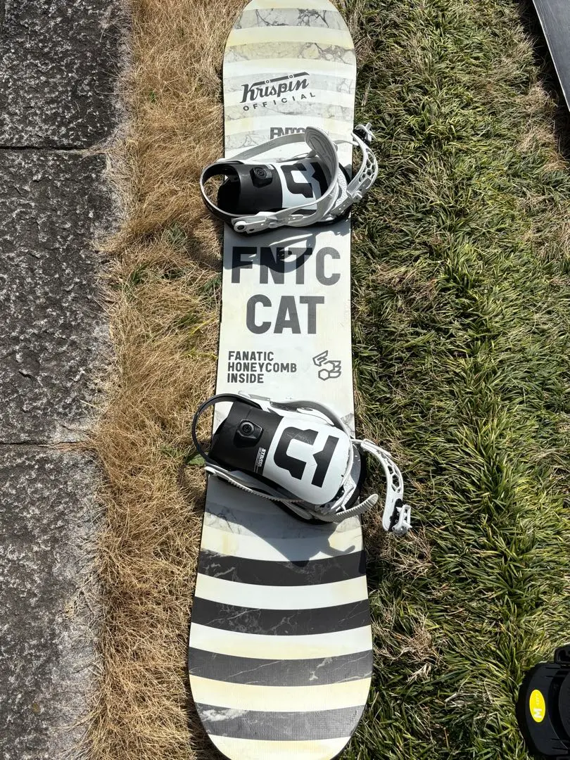 2025年最新】fntc catの人気アイテム - メルカリ