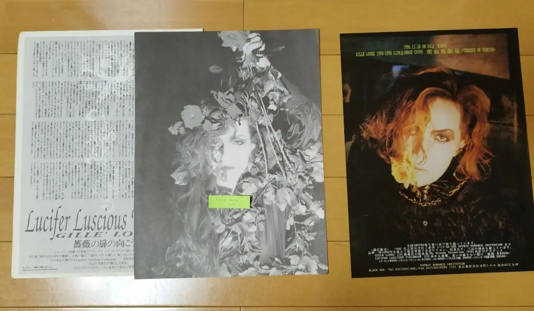 入手不可】ルシファ・ラセス・ヴィオルヌ ブック パンフ 小説