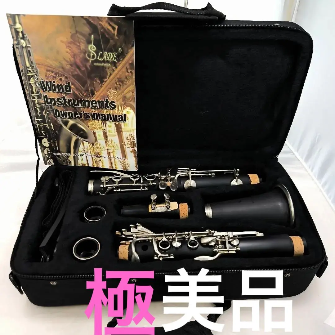 SLADE スレード クラリネット 専用ケース付き 送料込み 楽器 木管楽器 SLADE スレード クラリネット 専用ケース付き 送料込み 楽器 木