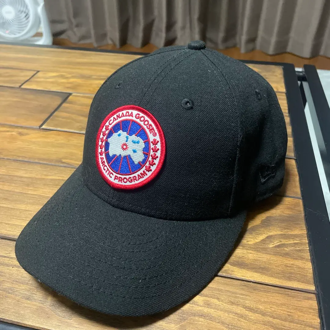 2025年最新】new era canada gooseの人気アイテム - メルカリ