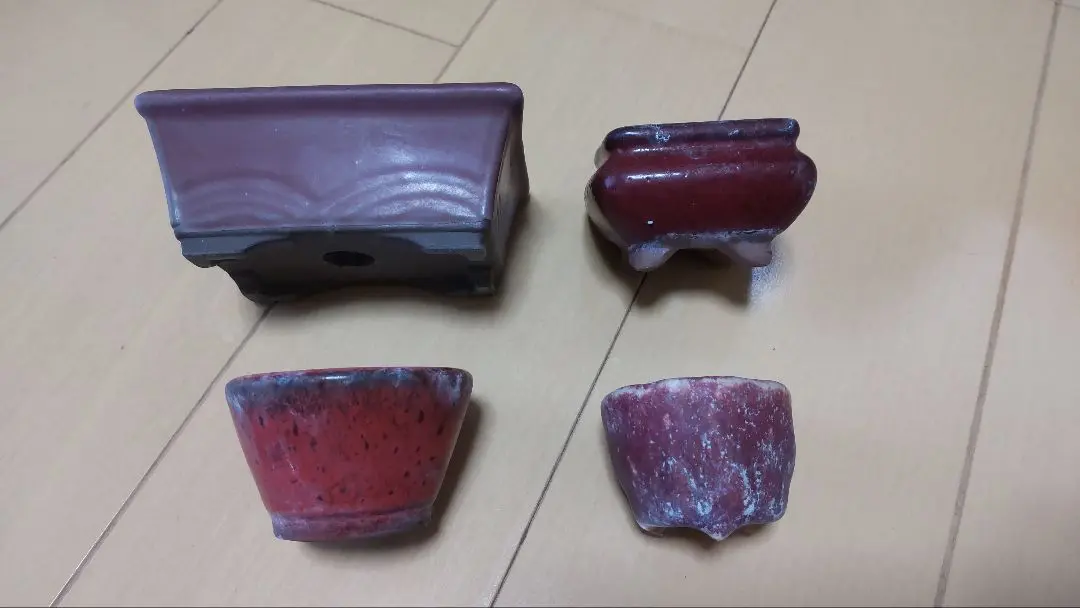 宗像一蒼　レア　ミニ盆栽鉢 3個セット 2025年最新】一蒼 盆栽鉢の人気アイテム - メルカリ