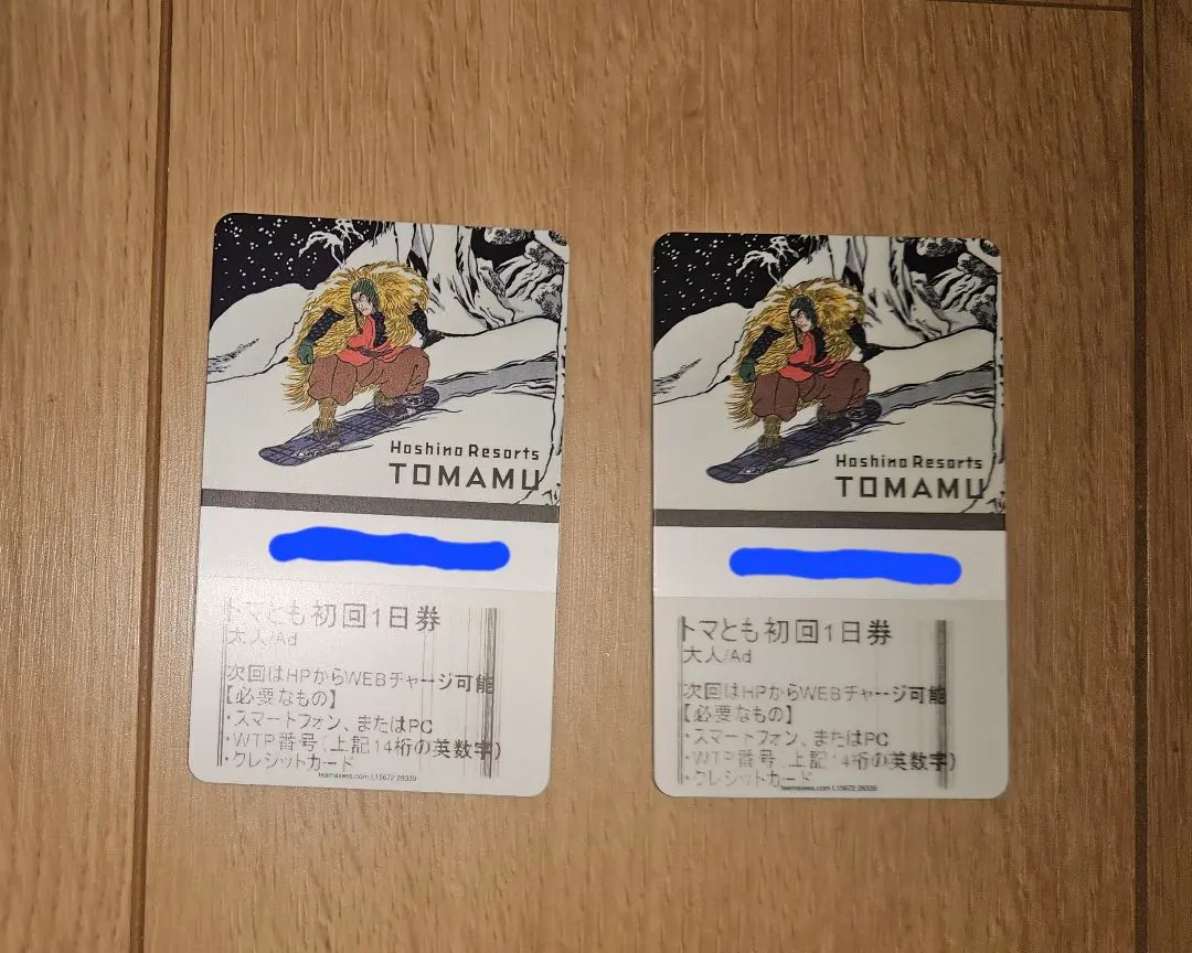 トマム リフト券 計2枚(トマとも初回1日券大人用1枚小学生用1枚 使用済) 2025年最新トマムリフト券の人気アイテム - メルカリ