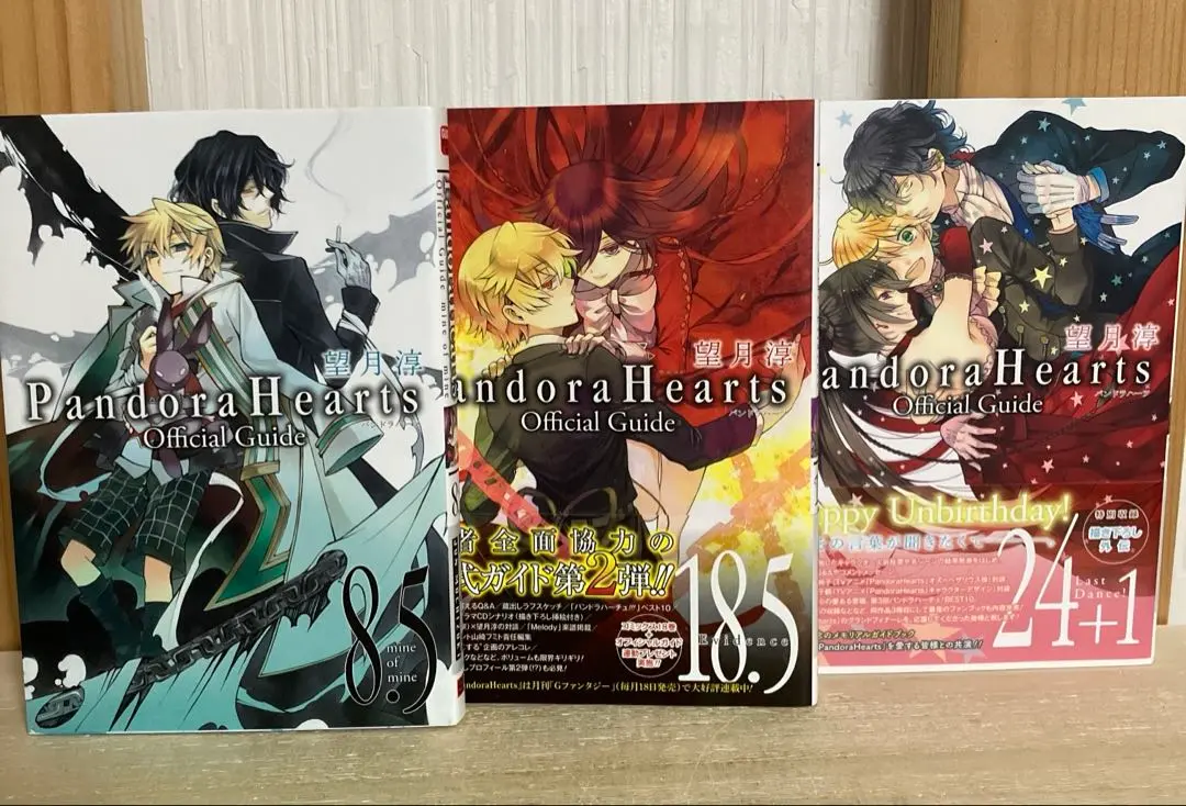 PandoraHearts 1巻~24巻 完結 小説 ガイドブック 2025年最新】パンドラハーツ24+1の人気アイテム - メルカリ