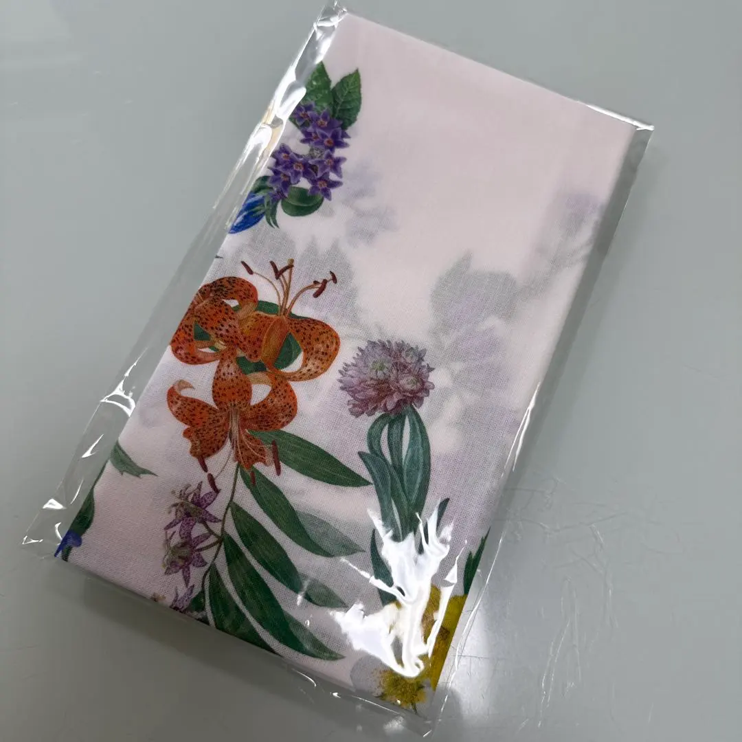 2025年最新】ARC'TERYX 手ぬぐいの人気アイテム - メルカリ