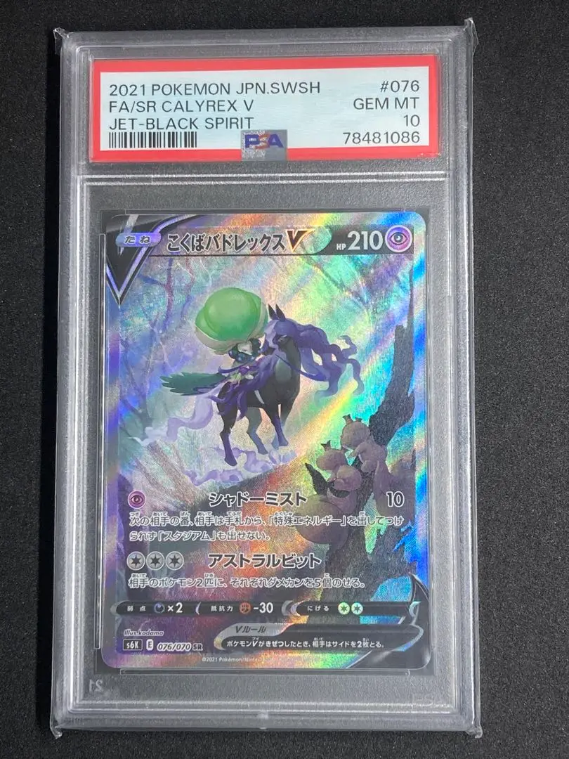 こくばバドレックスv sr psa10 PSA10鑑定済〕こくばバドレックスV(SA)【SR】{076/070}